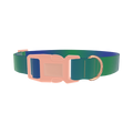 Gradient Blue Dog Collar - plastic rose gold