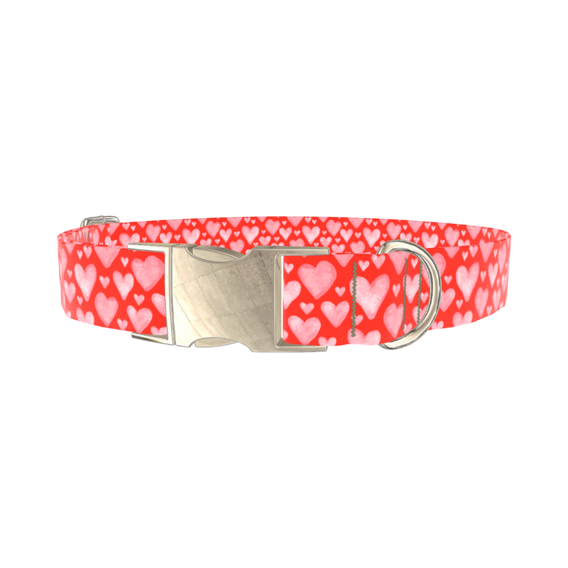Watercolor Heart Dog Collar - metal gold