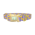 Banana Stripe Dog Collar - plastic gold