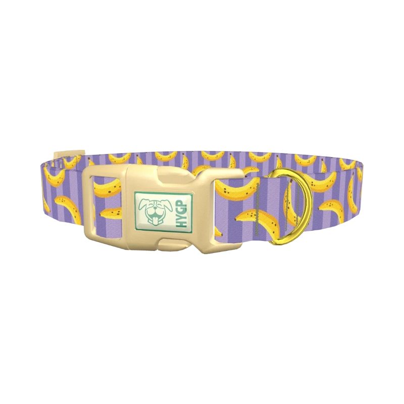 Banana Stripe Dog Collar - plastic gold