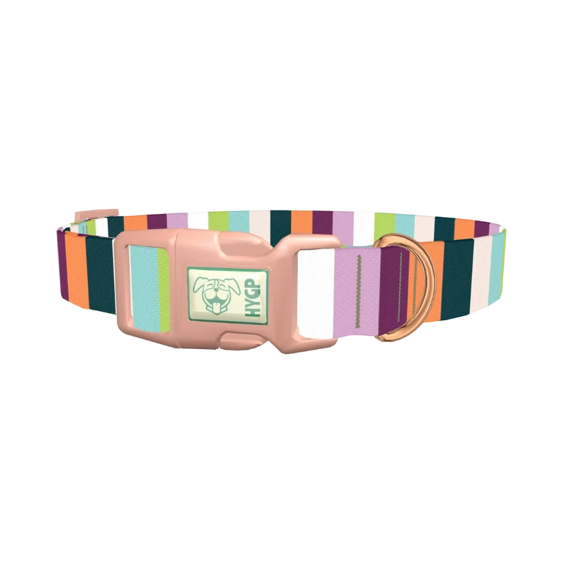Colorful Stripe Dog Collar - plastic rose gold