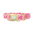 Pink Paint Splatter Dog Collar - plastic gold