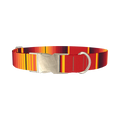 Mexican Red Stripe Dog Collar - metal silver