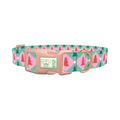 Geometric Pink Green Tree Dog Collar - plastic rose gold