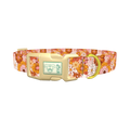 Retro Flower Burst Dog Collar - plastic gold