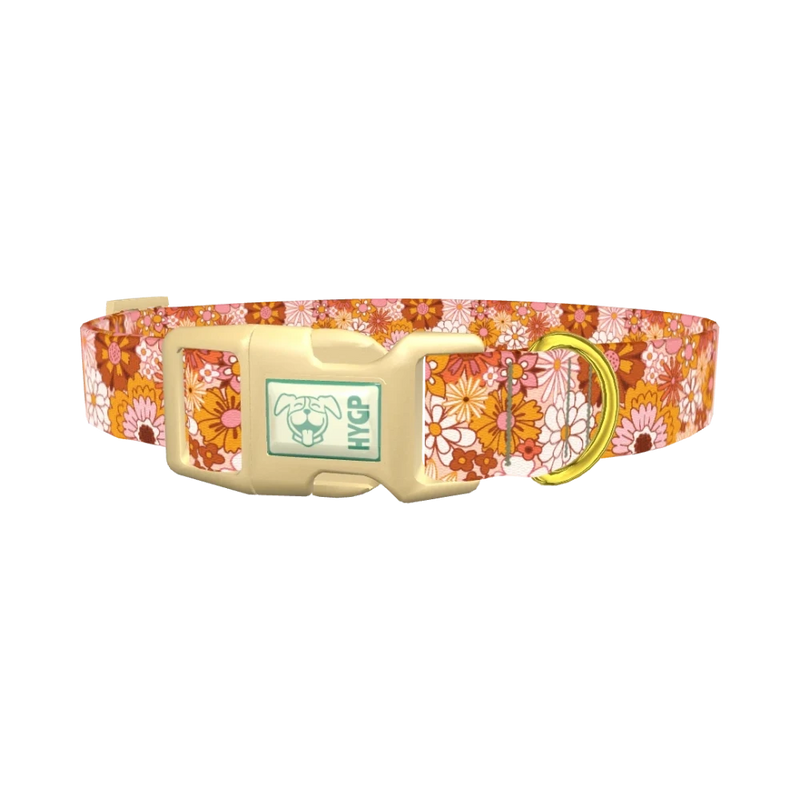Retro Flower Burst Dog Collar - plastic gold