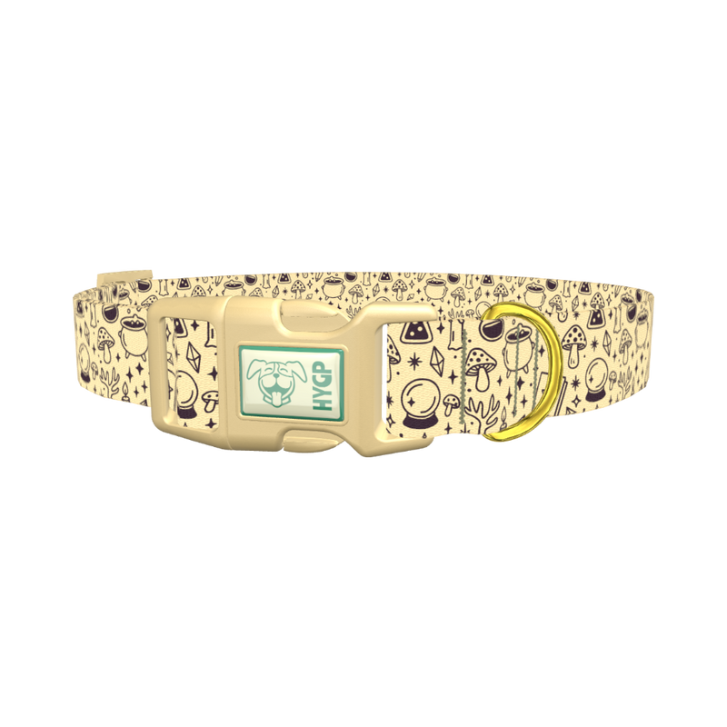 Witchy Halloween Dog Collar - plastic gold