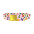 Dinosaur Mix Dog Collar - metal gold
