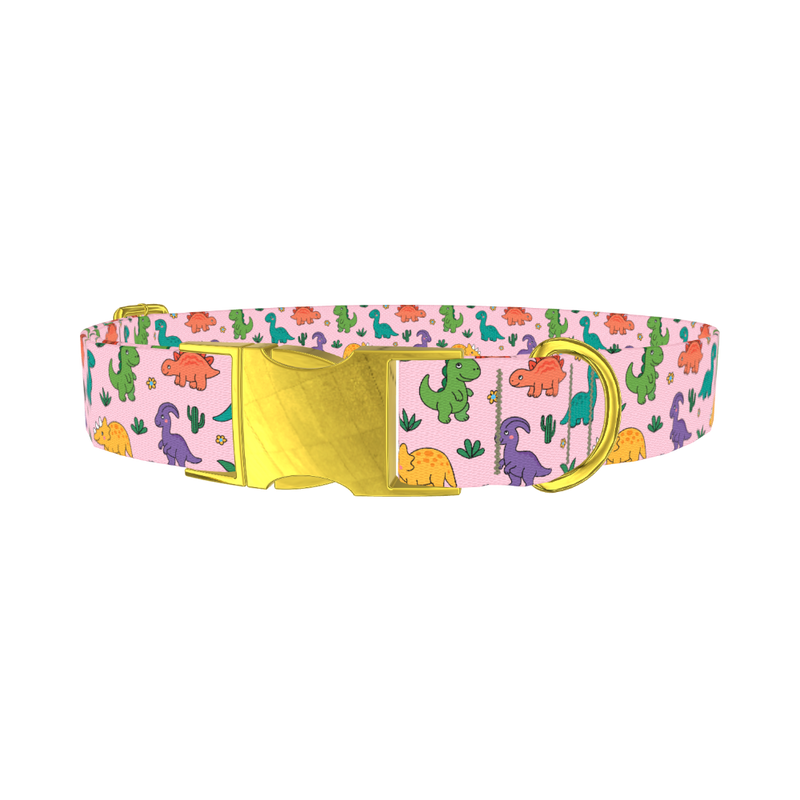Dinosaur Mix Dog Collar - metal gold
