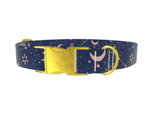 Cosmic Starry Night Dog Collar