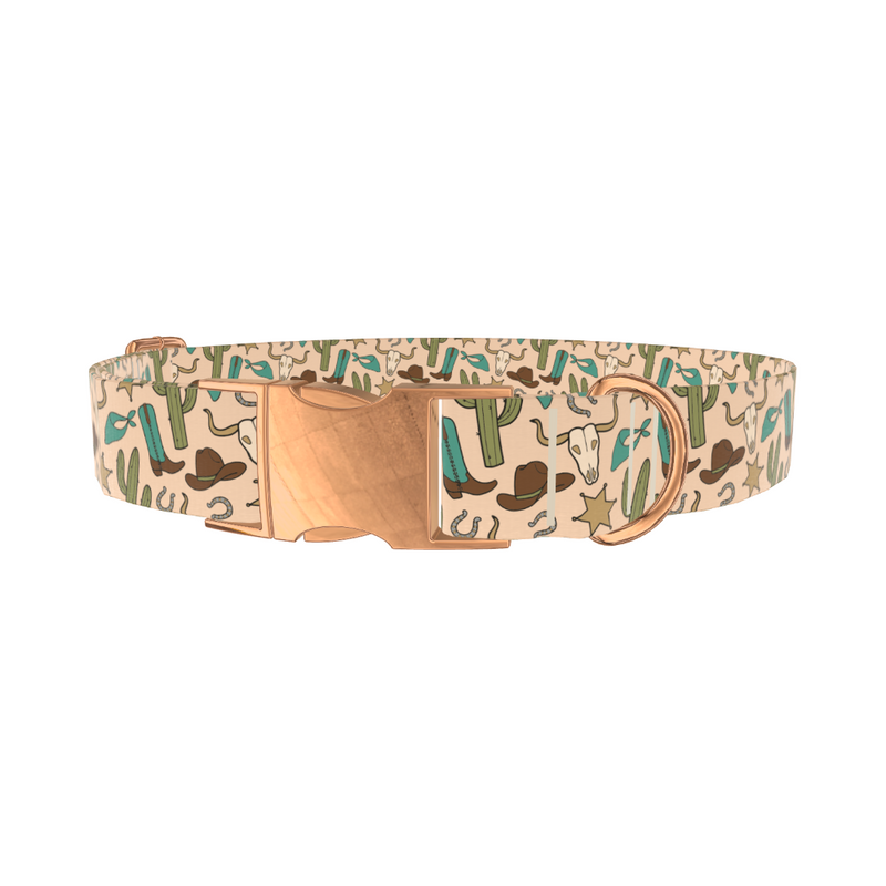 Desert Cowboy Dog Collar