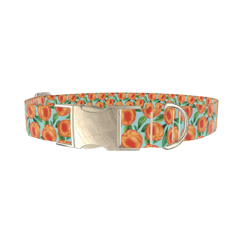 Peach Fruit Dog Collar