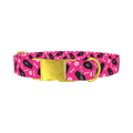 Halloween Coffins Dog Collar - metal gold