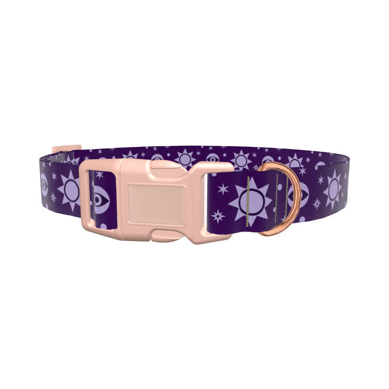 Mystical Sun Eye Dog Collar - plastic silver