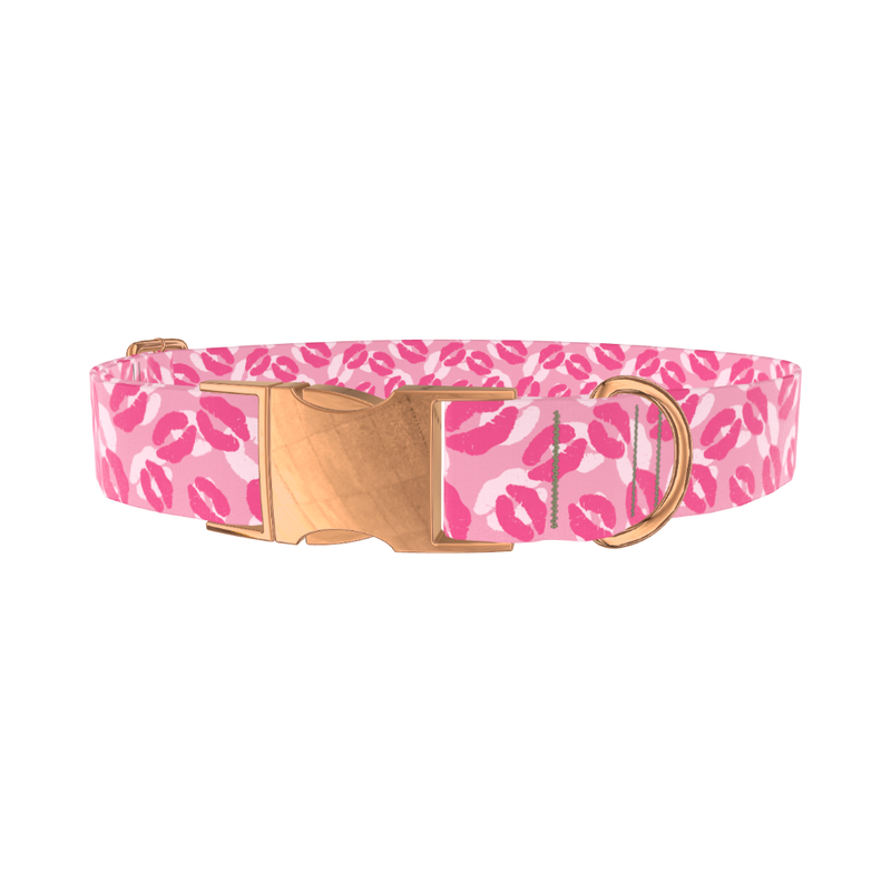 Valentine Lips Dog Collar - metal silver