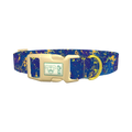 Abstract Blue Paint Dog Collar - plastic gold