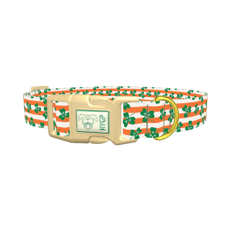 St. Patrick's Clover Stripe Dog Collar - plastic gold
