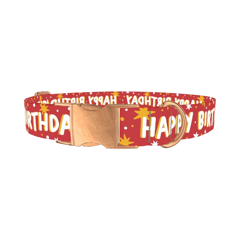 Starry Birthday Dog Collar - metal rose gold