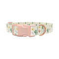 Sunny Cactus Dog Collar - plastic silver