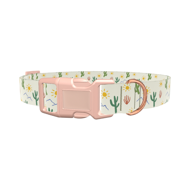 Sunny Cactus Dog Collar - plastic silver