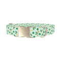St. Patrick's Day Rainbow Dog Collar - metal silver