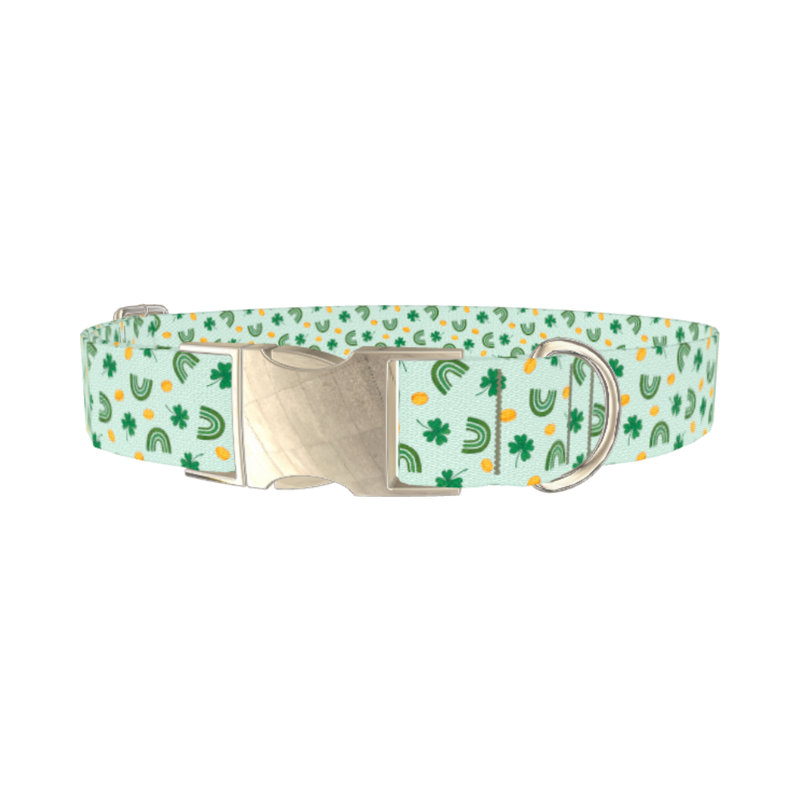 St. Patrick's Day Rainbow Dog Collar - metal silver