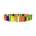 Striped Dog Collar - metal gold