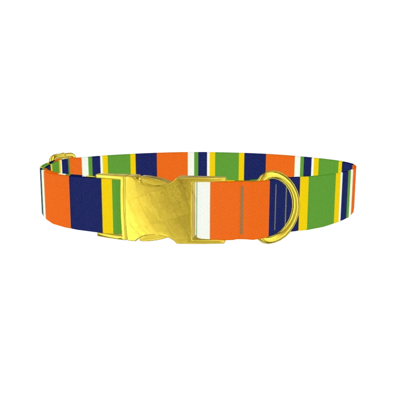 Striped Dog Collar - metal gold