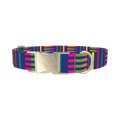 Colorful Dual Stripe Dog Collar - metal silver