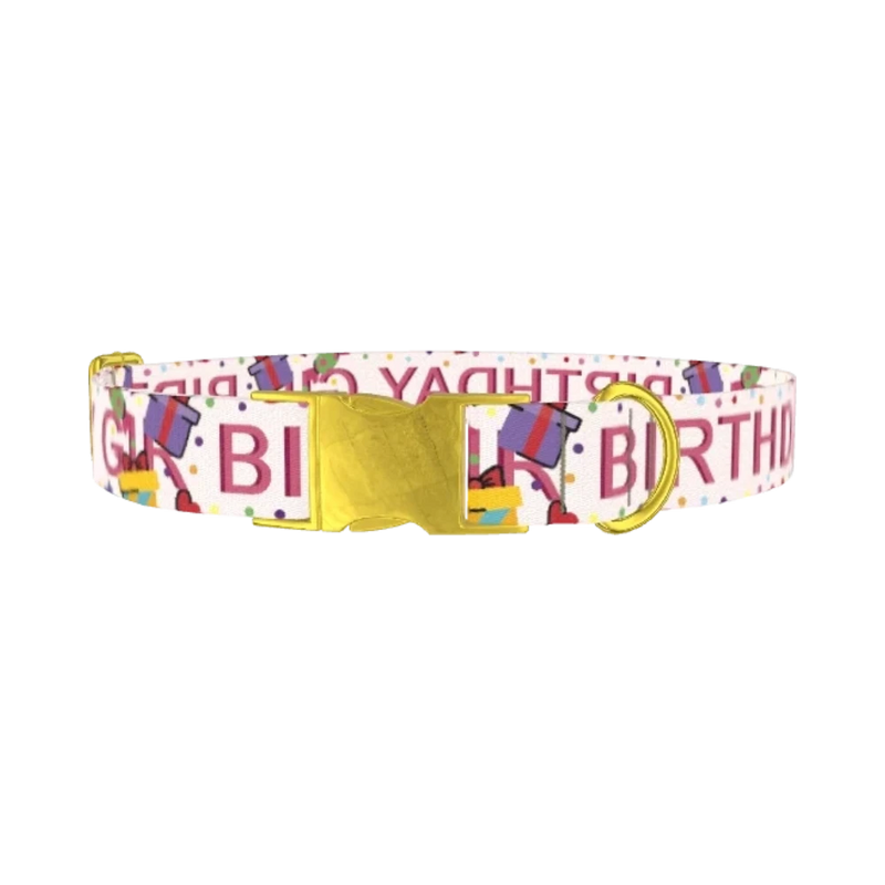 Birthday Celebration Dog Collar - metal gold