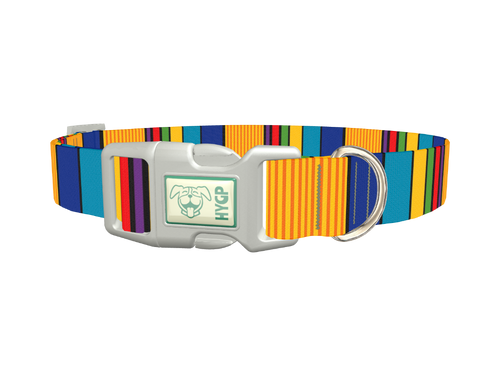 Vibrant Stripe Dog Collar