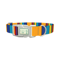 Vibrant Stripe Dog Collar - plastic silver