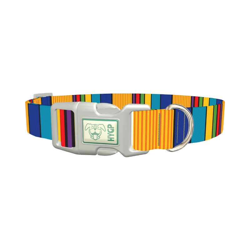 Vibrant Stripe Dog Collar - plastic silver