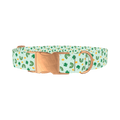 St. Patrick's Day Rainbow Dog Collar - metal rose gold