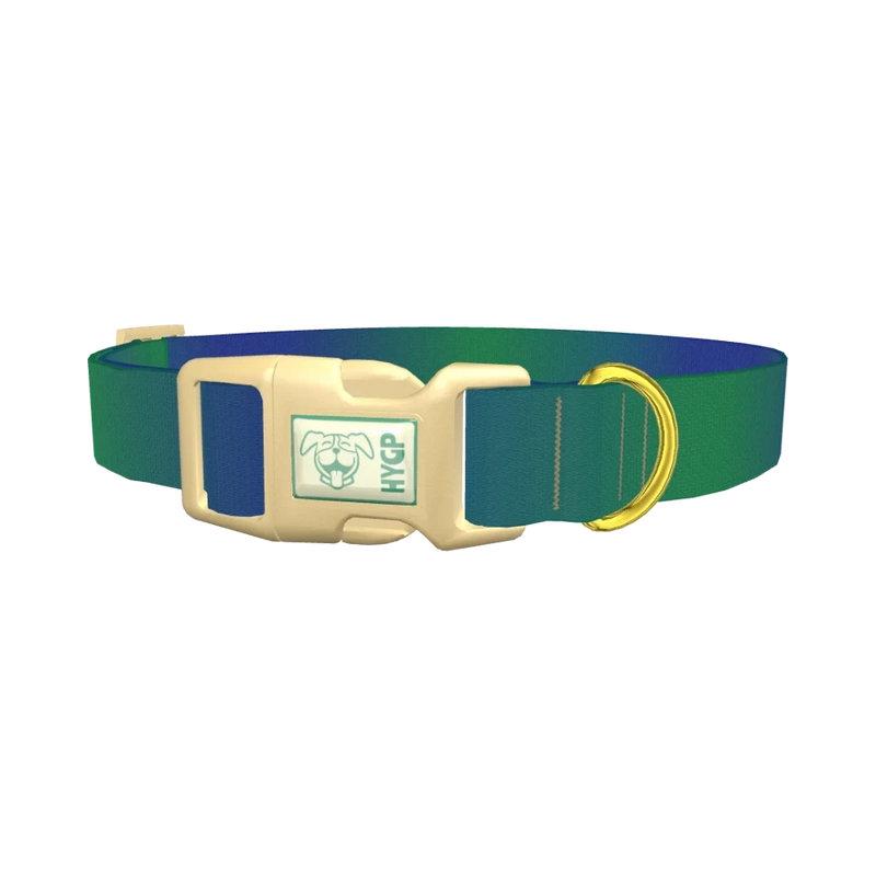 Gradient Blue Dog Collar - plastic gold