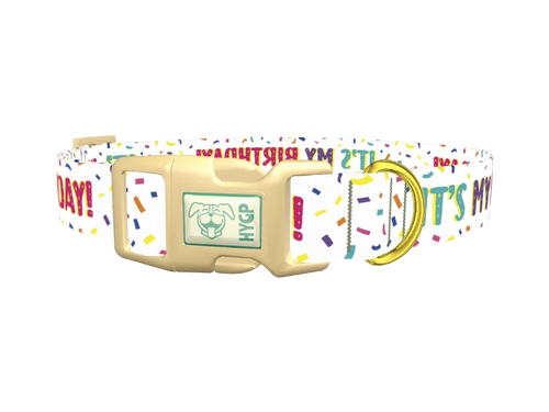 Birthday Confetti Dog Collar