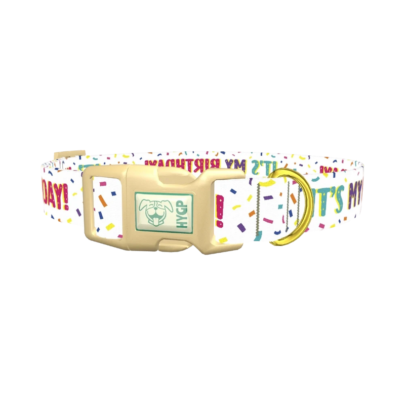 Birthday Confetti Dog Collar - plastic gold
