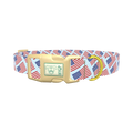 Stars and Stripes Dog Collar - plastic gold