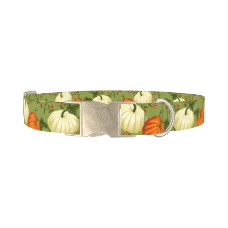 Pumpkin Floral Dog Collar - metal silver