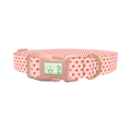 Red Polka Dot Dog Collar - plastic rose gold