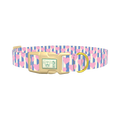 Heart Stripes Dog Collar - plastic gold