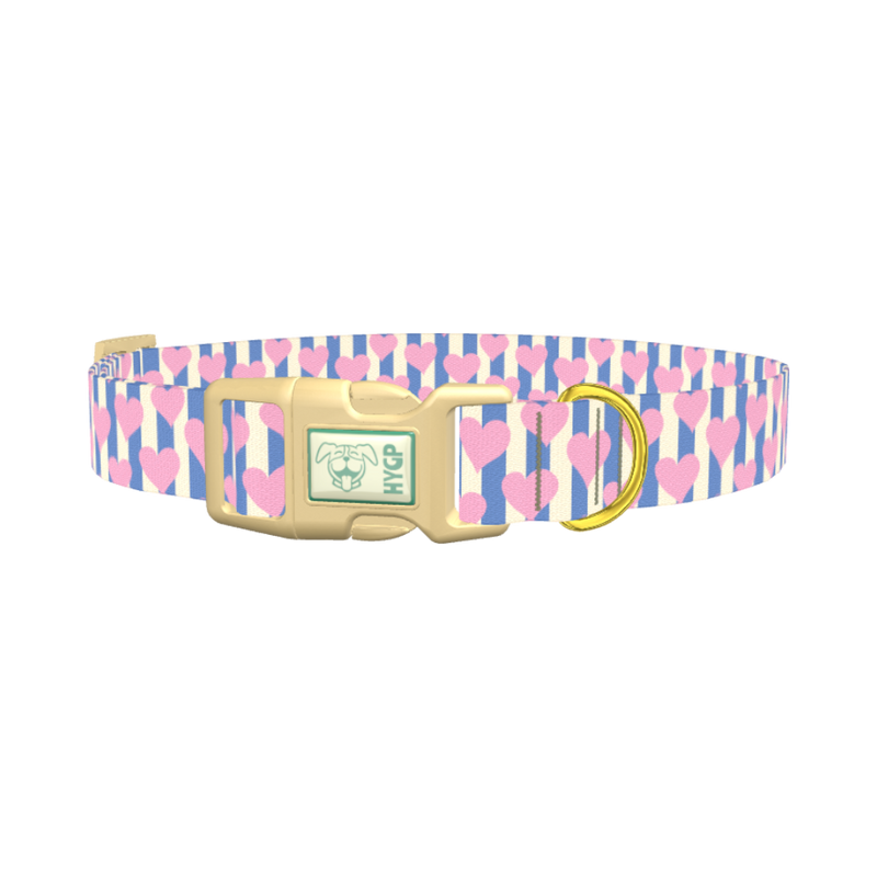 Heart Stripes Dog Collar - plastic gold