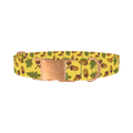 Fall Acorn Dog Collar - metal rose gold