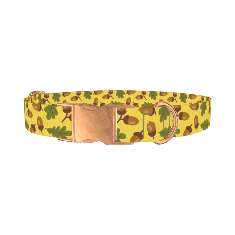 Fall Acorn Dog Collar - metal rose gold