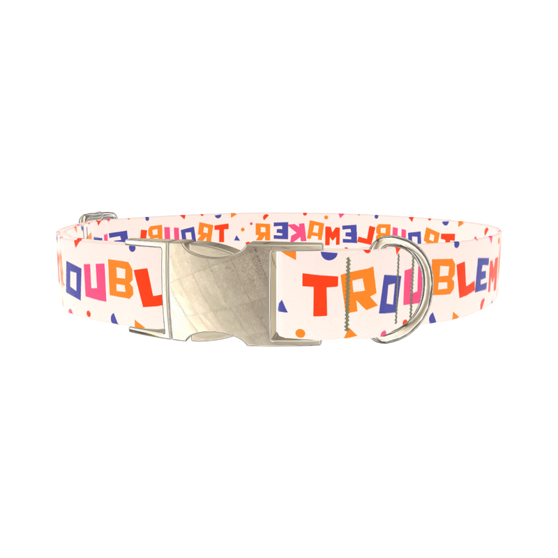 Geometric Letter Dog Collar - metal silver