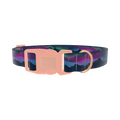Northern Lights Dog Collar - plastic rose gold