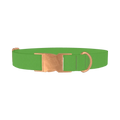 Lost Golfer Color Dog Collar - metal rose gold