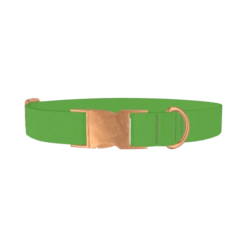 Lost Golfer Color Dog Collar - metal rose gold