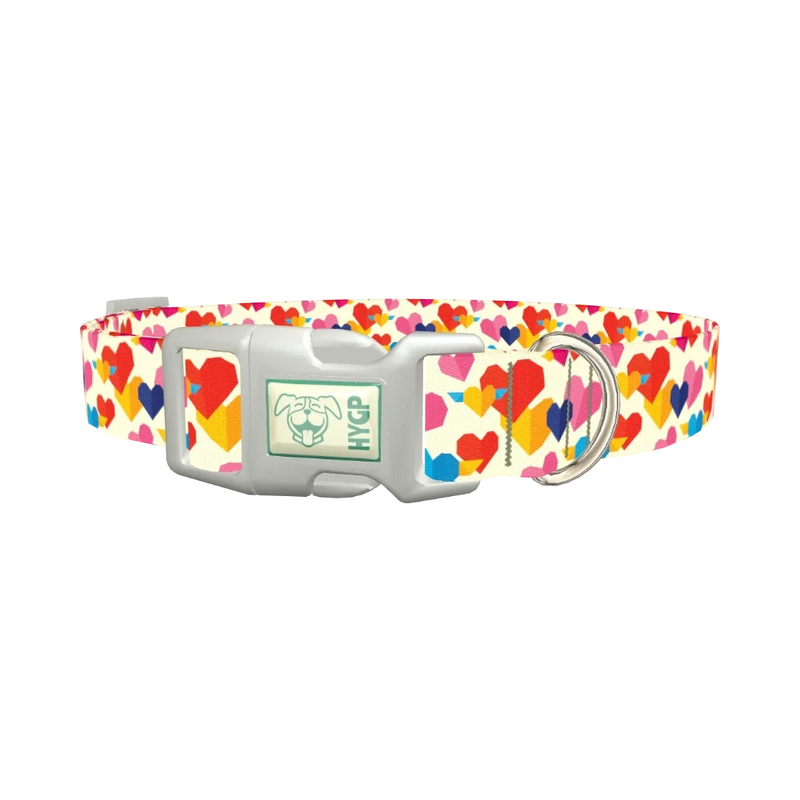 Winged Geometric Heart Dog Collar - plastic silver