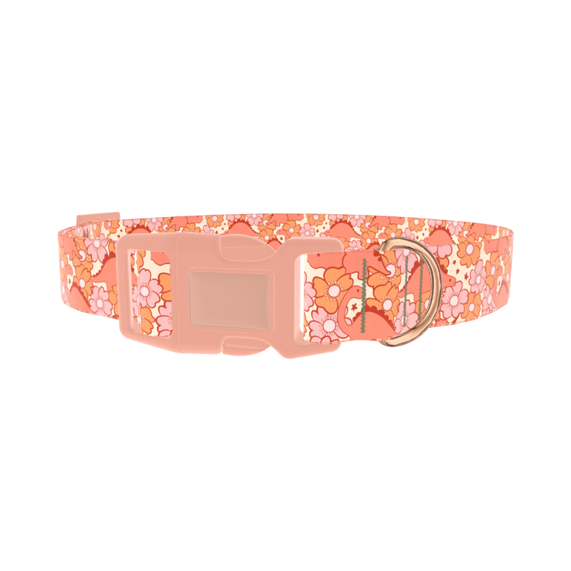 Floral Dinosaur Dog Collar - plastic rose gold